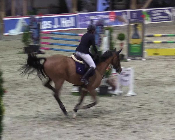 Reitturnier Negernbötel 2020, 6. Nordic Jumping event 2020/2021