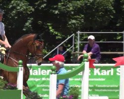 Springpferd Khalimero 2 (Schweizer Warmblut, 2008, von Karlondo von Kaltweid)