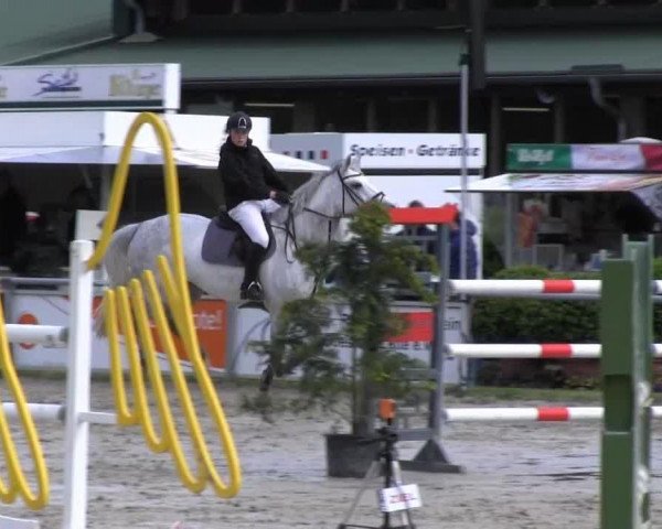 jumper Barletta (KWPN (Royal Dutch Sporthorse), 2006, from Cartano)