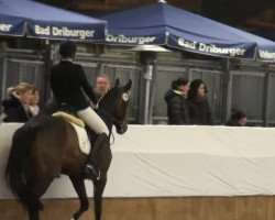 dressage horse Shiva 127 (Hanoverian, 2009, from San Remo)