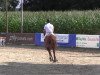 jumper Cherry-Flip (KWPN (Royal Dutch Sporthorse), 2007, from Lord Z)