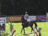 broodmare Cascada 55 (Westphalian, 2008, from Catoki)