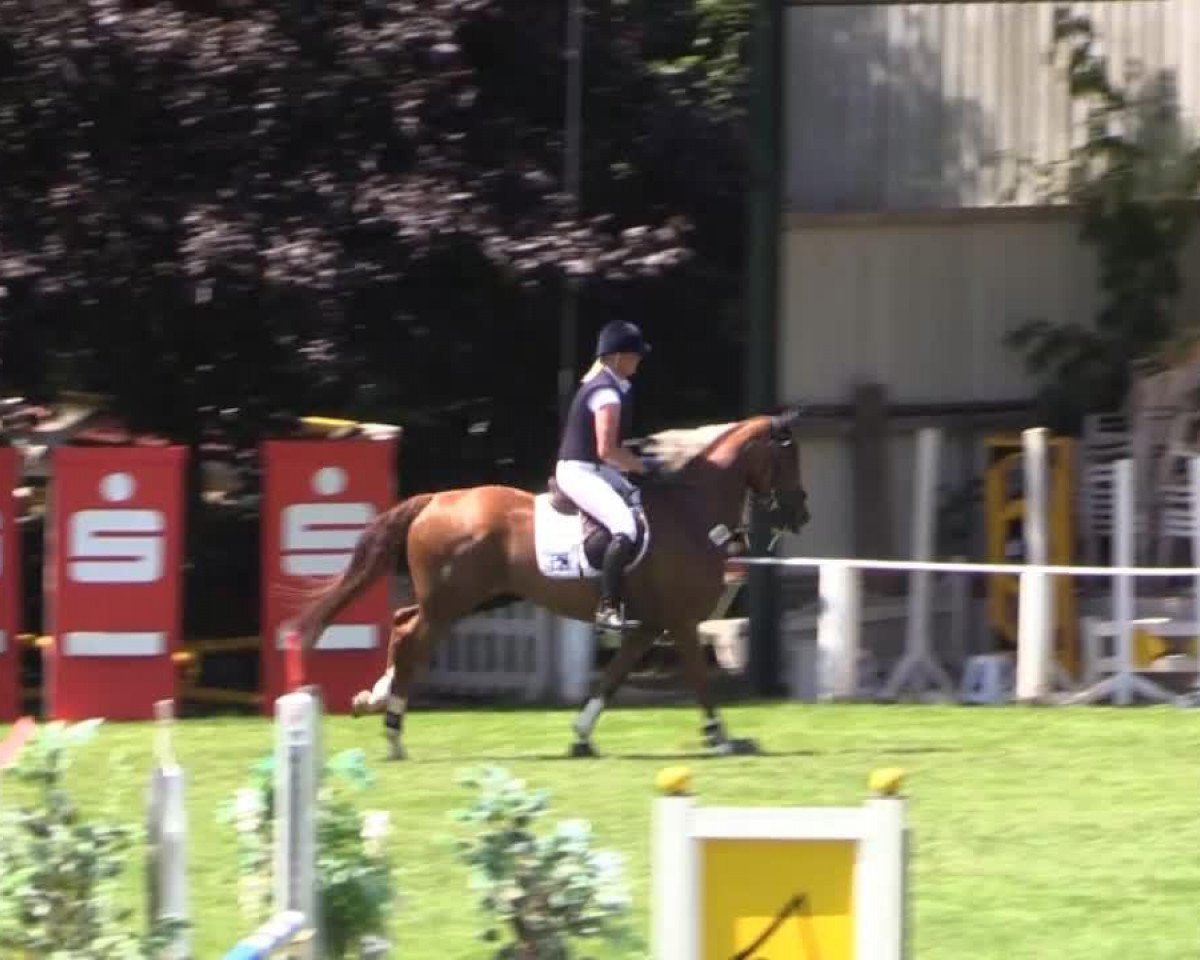 jumper Fernandes 6 (Hanoverian, 2008, from For Pleasure)