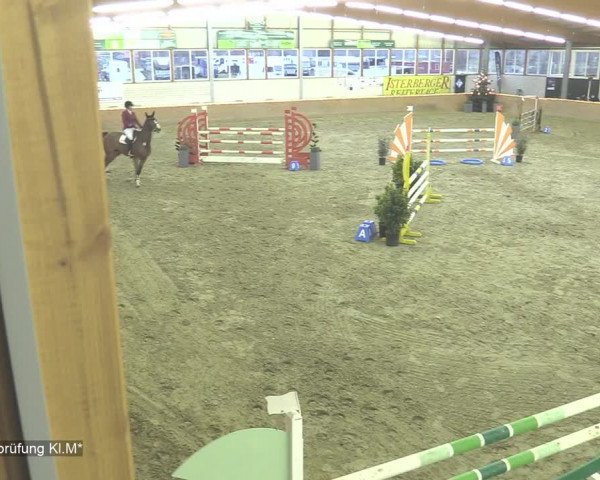 Reitturnier Isterberg 2020