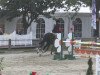 jumper Eskulap II (Polish Warmblood, 2004, from Palegro)