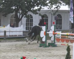 jumper Eskulap II (Polish Warmblood, 2004, from Palegro)