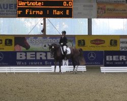 dressage horse Aj Don't You Forget About Me (German Sport Horse, 2007, from FS Don't Worry)