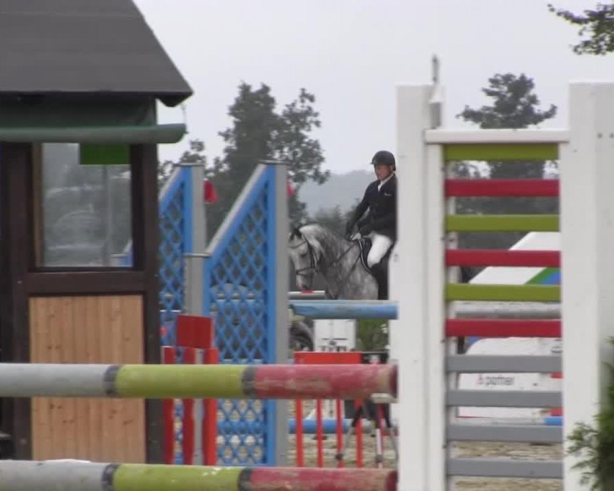 jumper Captain Carlo (Westphalian, 2008, from Captain Fire)