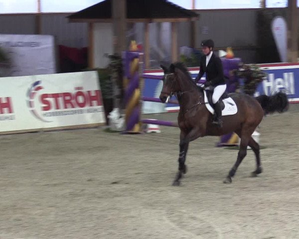 Reitturnier Negernbötel 2020, 6. Nordic Jumping event 2020/2021