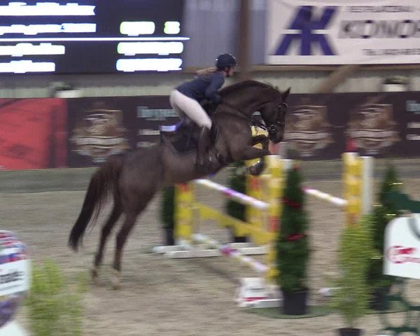 Reitturnier Negernbötel 2020, 6. Nordic Jumping event 2020/2021
