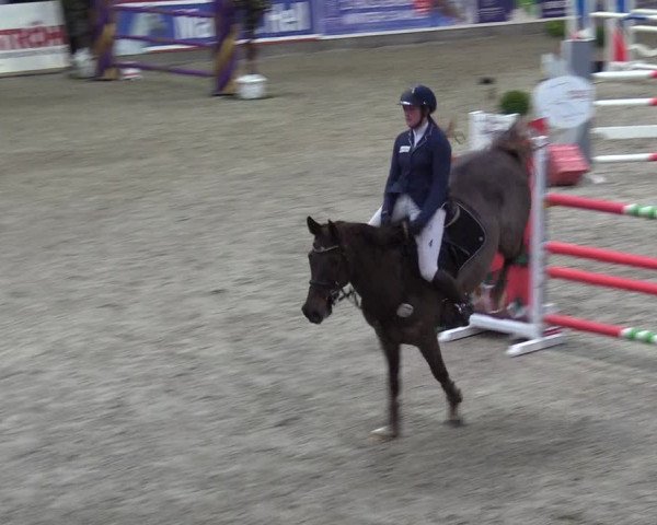 Reitturnier Negernbötel 2020, 6. Nordic Jumping event 2020/2021