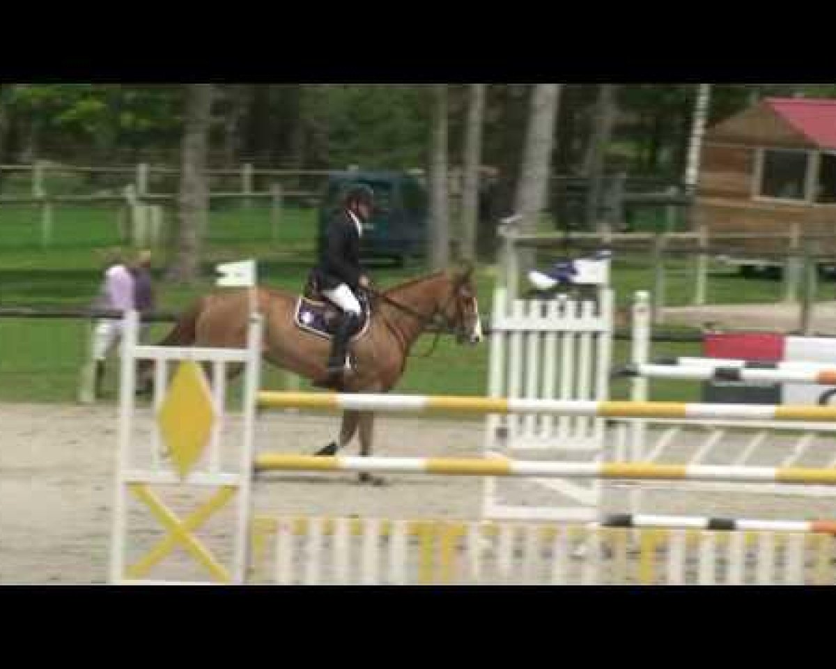 Springpferd Oscar du Chanu (Selle Français, 2002, von Richebourg)