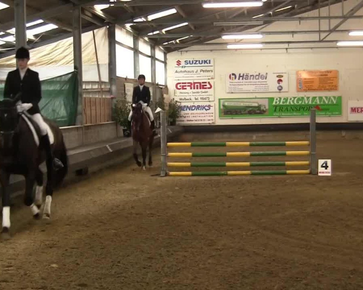 dressage horse Lucky Luke 398 (Rhinelander, 2007, from Lord Loxley I)