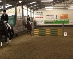 dressage horse Lucky Luke 398 (Rhinelander, 2007, from Lord Loxley I)