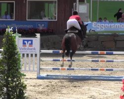 jumper Jum Breaker (Belgian Warmblood, 2005, from Jumpilot)