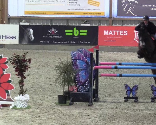 Reitturnier Negernbötel 2020, 6. Nordic Jumping event 2020/2021