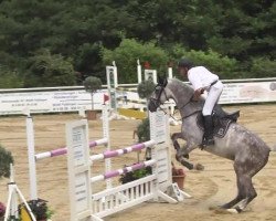 jumper Captain 38 (Oldenburg show jumper, 2008, from Fbw Cassius Clay)