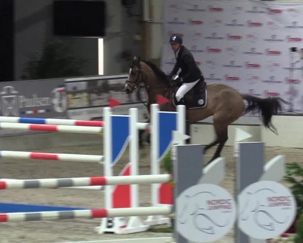 Reitturnier Negernbötel 2020, 6. Nordic Jumping event 2020/2021