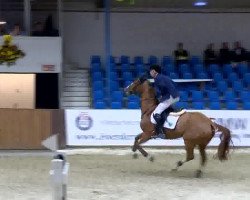 broodmare Fiona 488 (Oldenburg show jumper, 2007, from For Pleasure)