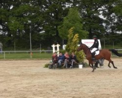 jumper Sabine (Oldenburg, 2008, from Cessna)