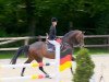 Springpferd Calvin Klein 29 (KWPN (Niederländisches Warmblut), 2008, von Clinton)