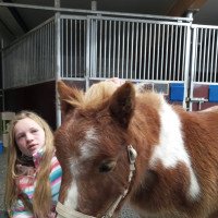 Pferd Neele (Shetland Pony (unter 87 cm), 2003, von Fairytail Basil Brush)