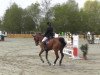 jumper RSS Lisa Z (Zangersheide riding horse, 2008, from Tailormade Lawito)