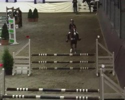 jumper Rumex Royal (German Riding Pony, 2007, from Stukhuster Ricardo Go For Gold)