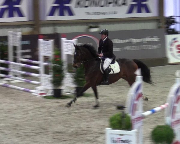 Reitturnier Negernbötel 2020, 7. Nordic Jumping event 2020/2021