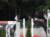 jumper Capano 2 (Oldenburg show jumper, 2007, from Casio)