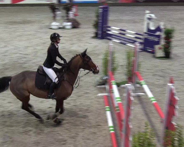Reitturnier Negernbötel 2020, 7. Nordic Jumping event 2020/2021