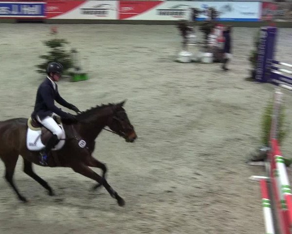 Reitturnier Negernbötel 2020, 7. Nordic Jumping event 2020/2021