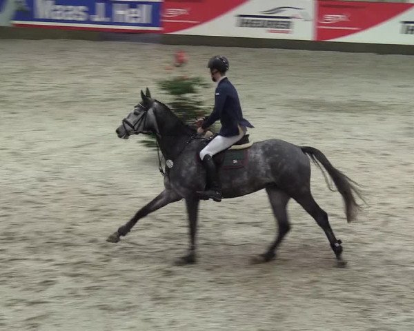 Reitturnier Negernbötel 2020, 7. Nordic Jumping event 2020/2021
