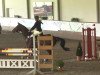 jumper Mick Jegger (Hanoverian, 2008, from Mighty Magic)