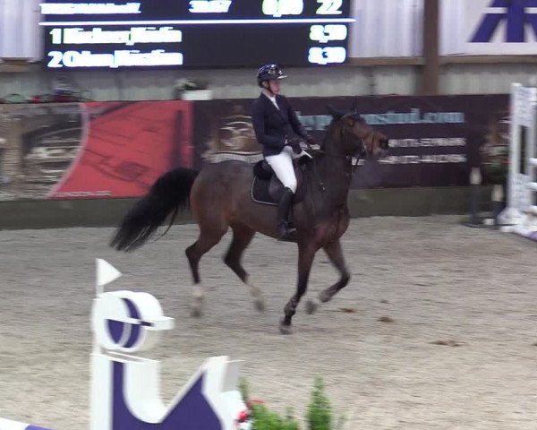 Reitturnier Negernbötel 2020, 7. Nordic Jumping event 2020/2021