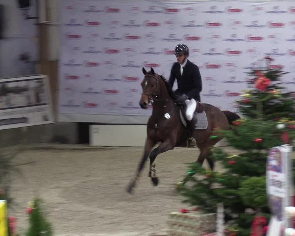 Reitturnier Negernbötel 2020, 7. Nordic Jumping event 2020/2021