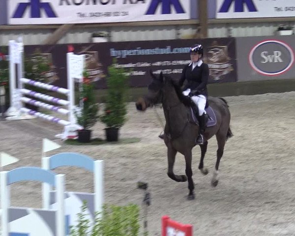 Reitturnier Negernbötel 2020, 7. Nordic Jumping event 2020/2021