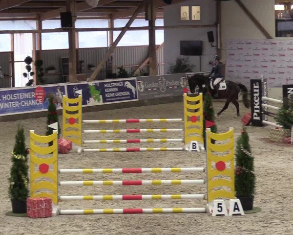 Reitturnier Negernbötel 2020, 7. Nordic Jumping event 2020/2021