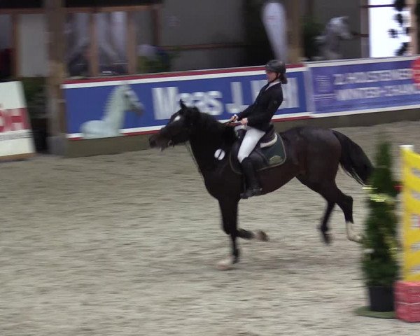 Reitturnier Negernbötel 2020, 7. Nordic Jumping event 2020/2021