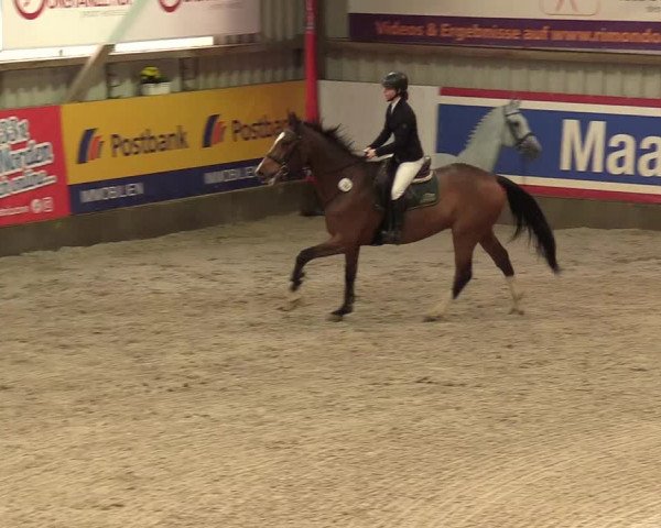 Reitturnier Negernbötel 2020, 7. Nordic Jumping event 2020/2021