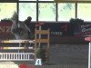 jumper Enrico CR (Oldenburg show jumper, 2008, from Escudeur)