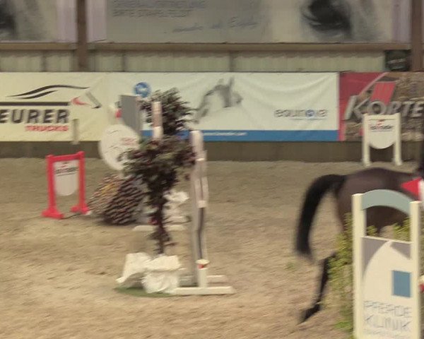 Reitturnier Negernbötel 2020, 7. Nordic Jumping event 2020/2021