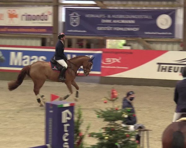 Reitturnier Negernbötel 2020, 7. Nordic Jumping event 2020/2021