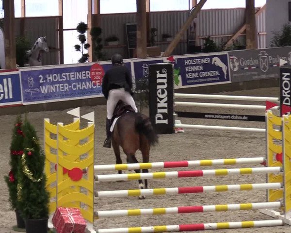 Reitturnier Negernbötel 2020, 7. Nordic Jumping event 2020/2021