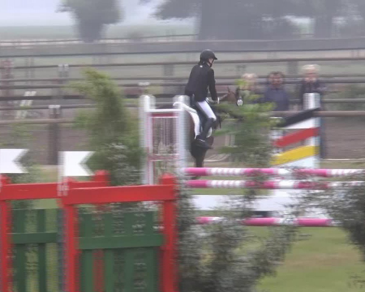 Dressurpferd Balaleika 20 (Deutsches Reitpony, 2008, von Black Ombre)