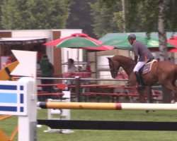 Springpferd Artiflex R (KWPN (Niederländisches Warmblut), 2005)