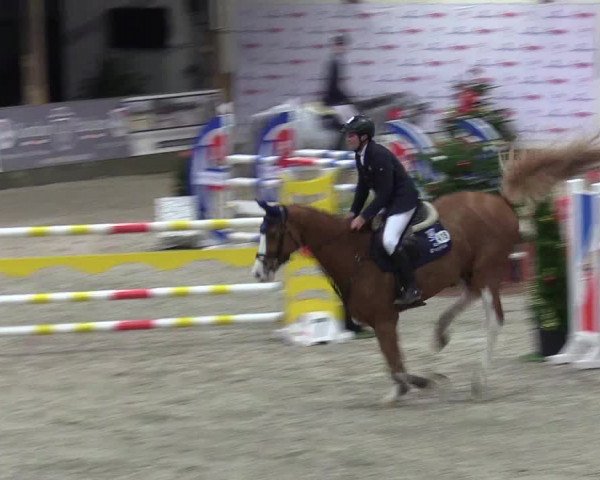 Reitturnier Negernbötel 2020, 7. Nordic Jumping event 2020/2021