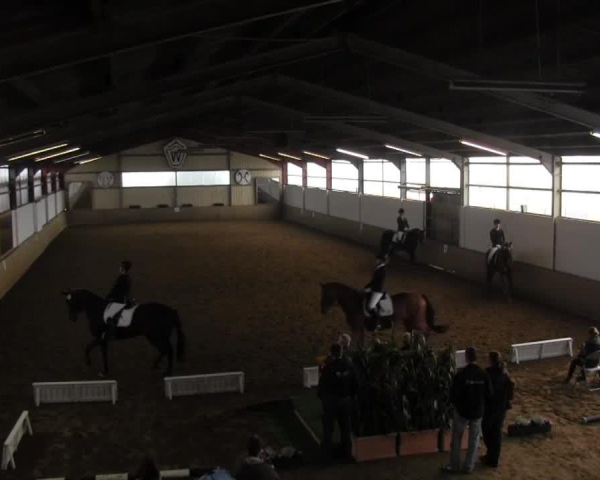 Dressurpferd Sinfonie 184 (Westfale, 2008, von San Remo)