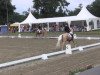 Dressurpferd Hugo 127 (Deutsches Reitpony, 2010, von Hemingway B)