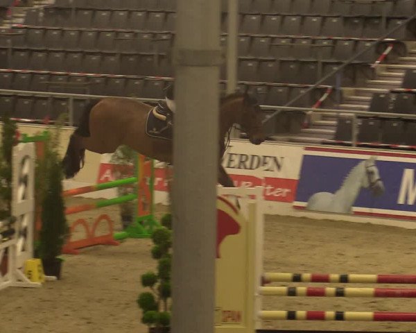 Reitturnier Verden Montagsclub 2020